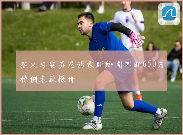 热火与安芬尼西蒙斯绯闻不断650万特例未获报价