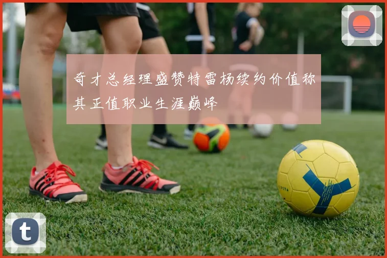 奇才总经理盛赞特雷杨续约价值称其正值职业生涯巅峰